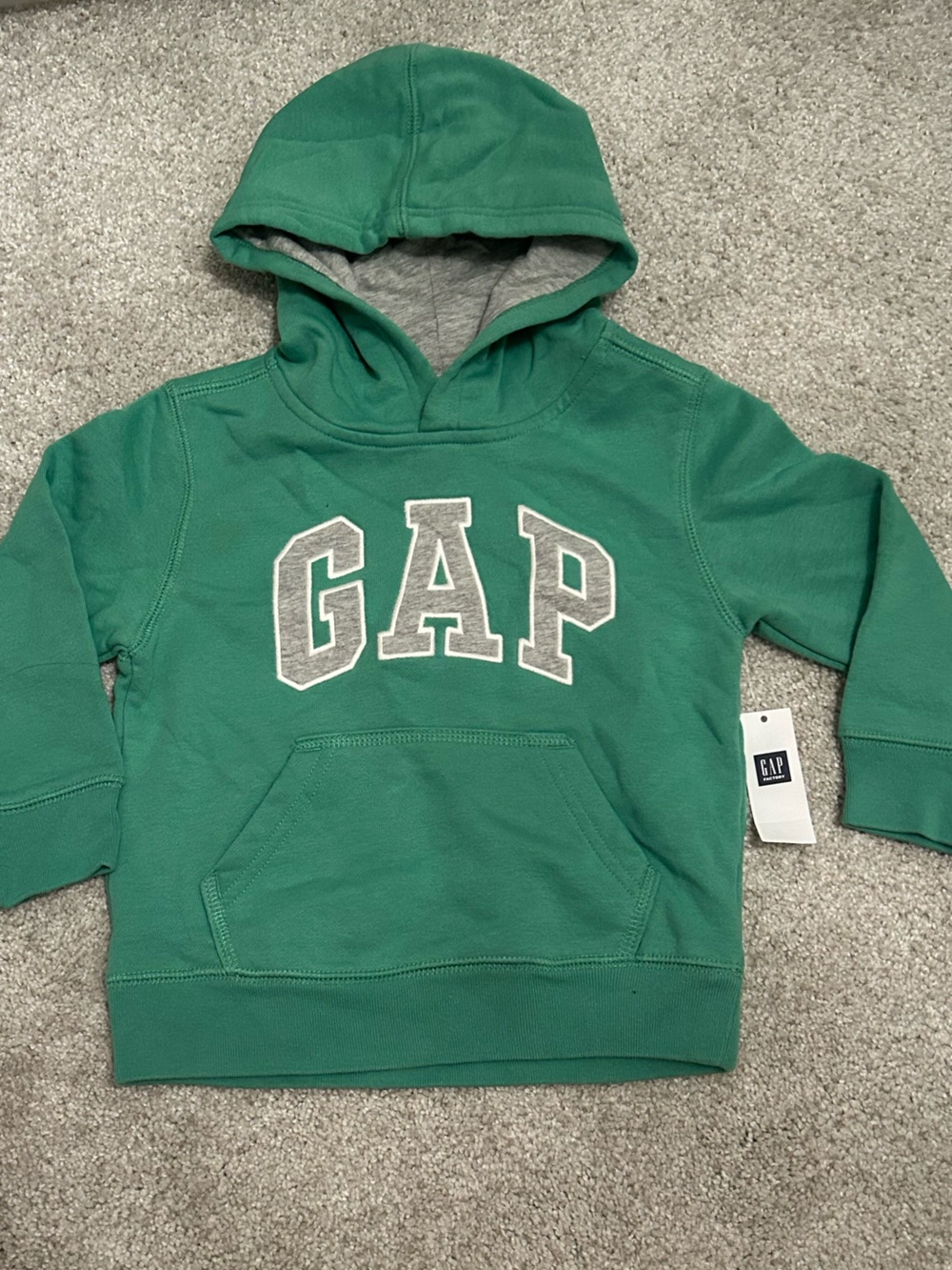 Gap Hoodie 3YR
